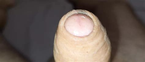 The Cock Itself Cums The Sperm Flies Out The Cock Twitches The Buzz Is Strong Gay Porn XHamster