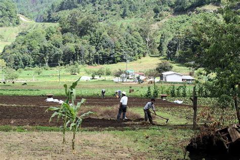 Análisis y problemática actual del campo y la agricultura en México