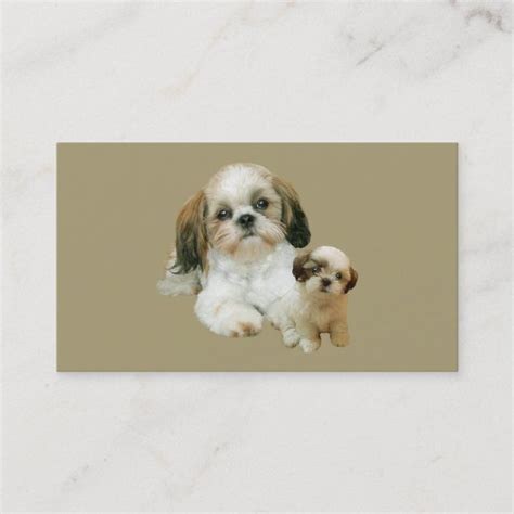 Shih Tzu Breeder Business Card Zazzle Shih Tzu Breeders Shih Tzu