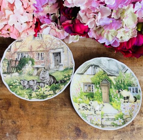 Set Piatti Royal Albert Cats And Cottages Enjoy Coffee And More