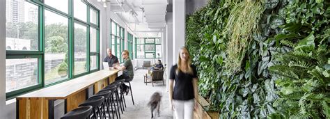 Office Cubicle Plants