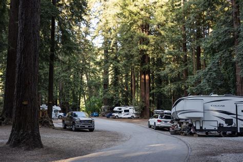 Santa Cruz Redwoods RV Resort: Park Spotlight - Campspot Camp Guide