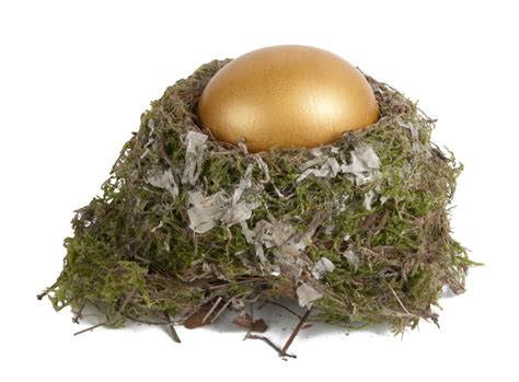 Golden Egg In A Real Nest Stock Photo Image Of Gold