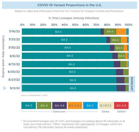 How Do Viruses Mutate COVID 19 Variants The Hartford Insights