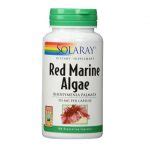 Red Algae Supplements Health Benefits Eat Algae