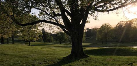 Harrison Meadows Country Club Tee Times Harrison Ny