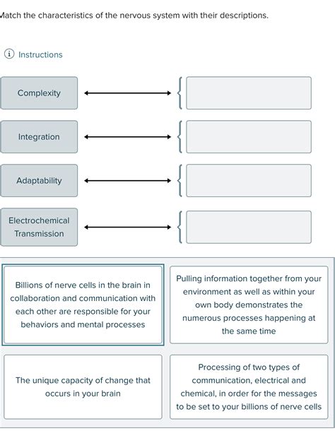 Solved Match The Characteristics Of The Nervous System With Chegg