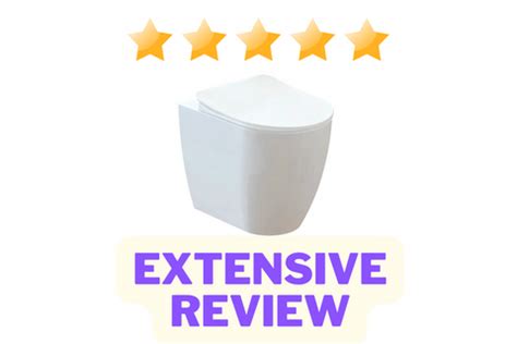 MODERN COMFORT HEIGHT BACK TO WALL BIDET TOILET REVIEW – www ...