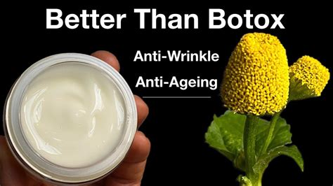 Botox Face Cream Anti Ageing Anti Wrinkle Botox Face Cream Efficient