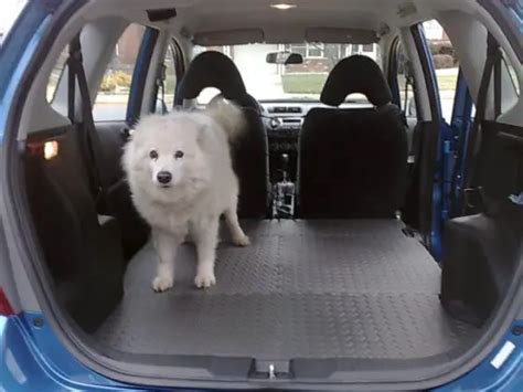 Best Cars For Dogs By Model Year A List Of Dog Friendly Features To