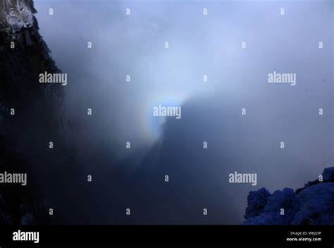 Landscape of pine trees covered with snow against a circular rainbow in ...