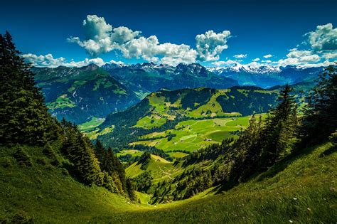 Free Images Landscape Nature Forest Grass Wilderness Cloud Sky