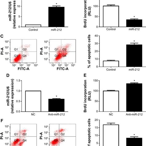 Foxa Knockdown Reduces Cell Proliferation And Induces Apoptosis In Hcc