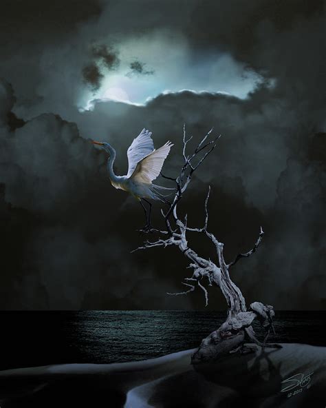 Great Egret Under Full Moon Digital Art By M Spadecaller Pixels