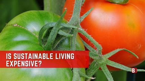 components  sustainable development  complete guide