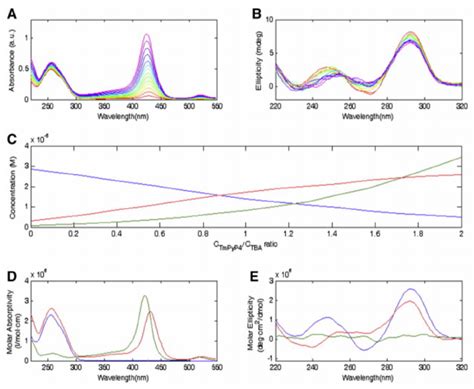 A UV Vis Absorption Spectra Of Aptamer TmPyP4 At A Fixed Aptamer