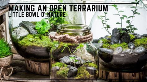 Open Terrarium Build Bowl O Nature YouTube