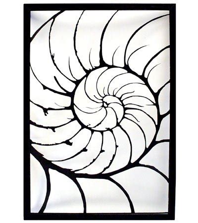 Nautilus Shell Drawing at GetDrawings | Free download