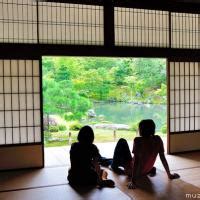 Visiting Kyoto Tenryu Ji Temple