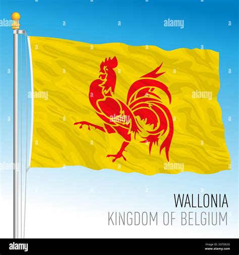 Wallonia regional flag, Kingdom of Belgium, vector illustration Stock Vector Image & Art - Alamy