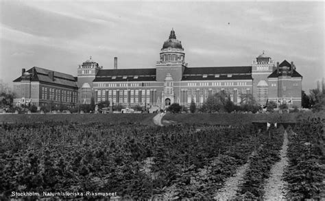 Stockholm Naturhistoriska Riksmuseet Ae D Sv Wiki Flickr