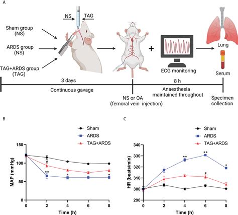 Frontiers D Tagatose Protects Against Oleic Acid Induced Acute