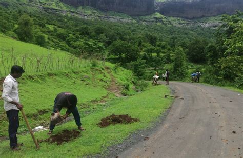 किसान सभेचा पुढाकार देवळे गावात रोजगार हमीच्या कामास सुरुवात महाराष्ट्र जनभूमी