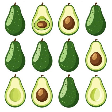 Premium Photo A Set Of Avocados With Different Stages Of The Fruit