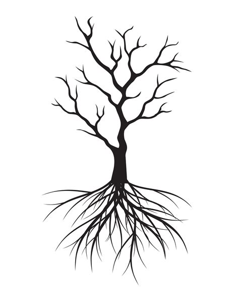 black tree  roots vector outline illustration plant  garden