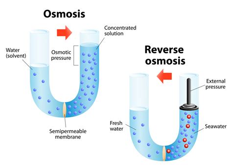 Water Treatment Membranes and Their Processes | Fluence