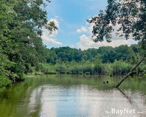 Gambrill state park trails offer the best views in maryland 28