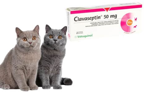 Clavaseptin For Cats Dosage Chart - 50mg Palatable Tablets