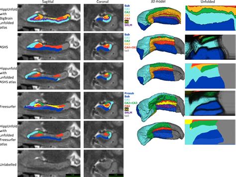 Automated Hippocampal Unfolding For Morphometry And Subfield