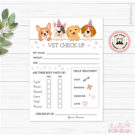 Vet Receipt Template Artofit