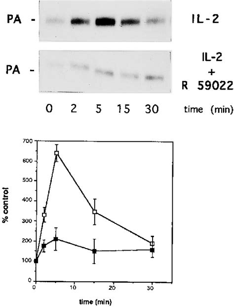 Dgk Inhibitor Prevents Il 2 Induced Dgk Activation The Effect Of The Download Scientific