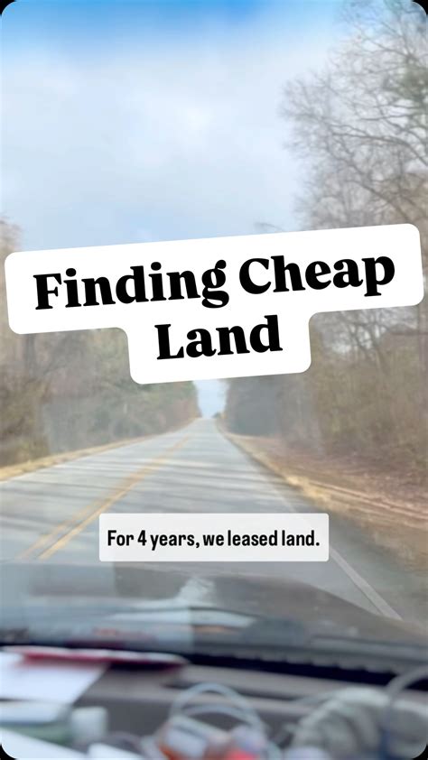 Beloved Cabin Homestead (@belovedcabin) • Instagram photos and videos