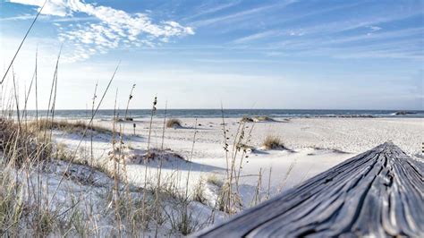 Top 35 Things To Do In Orange Beach Alabama A Beach Lovers Paradise