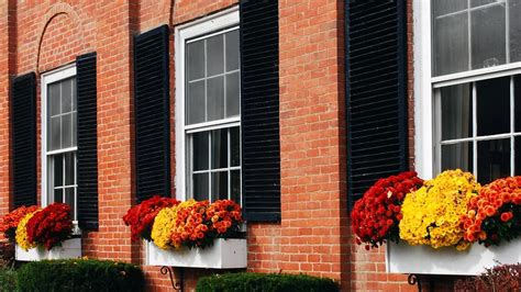 Fall Entrance Decorating With Mums Brighten Your Home For Autumn