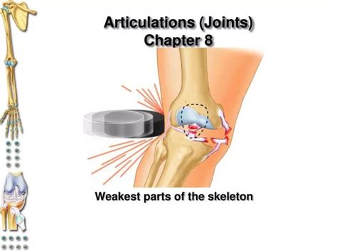 Ppt Articulations Joints Chapter 8 Powerpoint Presentation Free Download Id 6830896