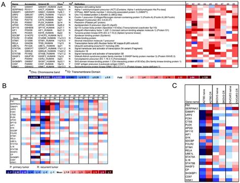 Identification and validation of candidate proteins in recurrent ... 