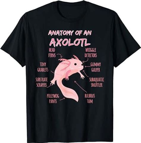 Anatomy Of An Axolotl T Shirt Mexican Salamander Gift Walmart