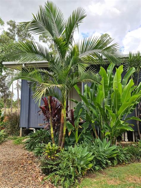 Tropical Garden Design 4