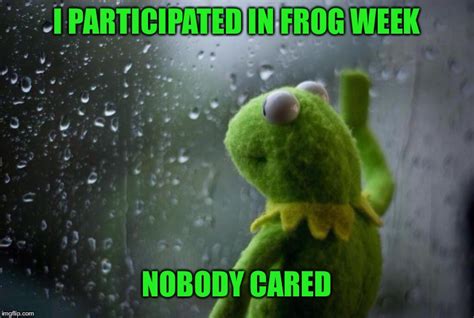 Sad Kermit Imgflip