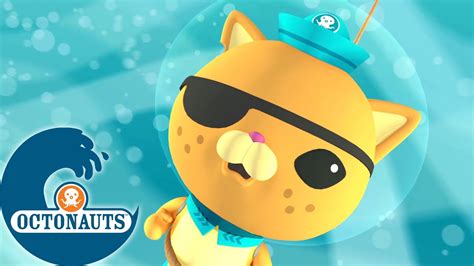 Octonauts Le Tourbillon Géant Dessins animés pour enfants YouTube