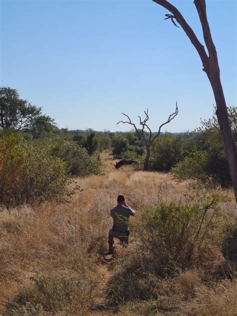 Black Rhino Conservation Efforts - Pelorus Foundation