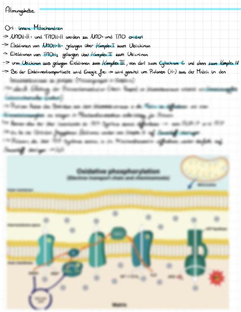 SOLUTION Biologie Studypool