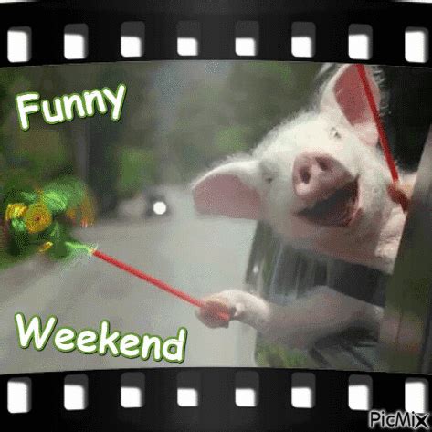 Funny Weekend ... - Free animated GIF - PicMix