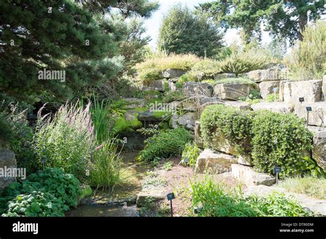 The Rock Garden Kew Royal Botanic Gardens England Stock Photo Alamy