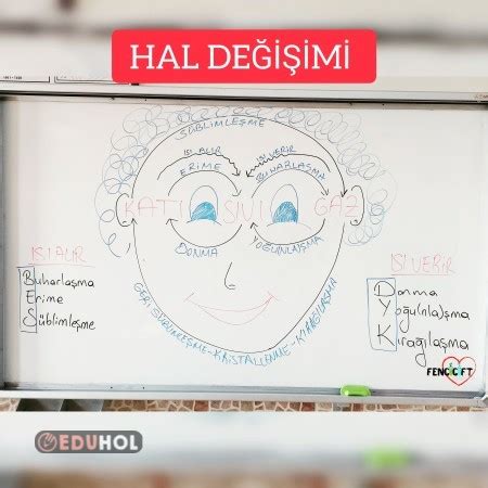 Hâl Değişimi Eduhol Etkinlik İndir Oyun Oyna Test Çöz Video İzle