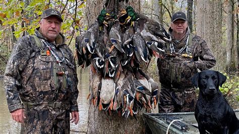 Nine Limits Point Blank Awesome Duck Hunt With Old Friends Coca